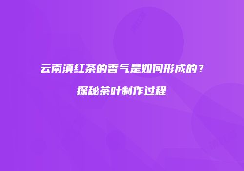 云南滇红茶的香气是如何形成的？探秘茶叶制作过程