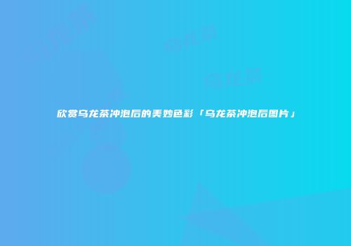 欣赏乌龙茶冲泡后的美妙色彩「乌龙茶冲泡后图片」