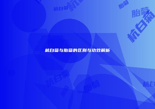 杭白菊与胎菊的区别与功效解析