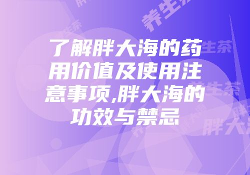 了解胖大海的药用价值及使用注意事项,胖大海的功效与禁忌