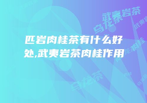 匹岩肉桂茶有什么好处,武夷岩茶肉桂作用