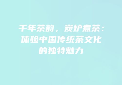 千年茶韵，炭炉煮茶：体验中国传统茶文化的独特魅力