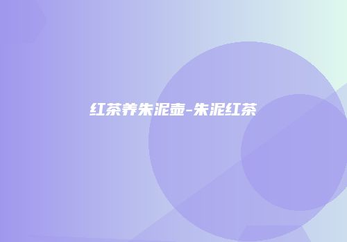 红茶养朱泥壶-朱泥红茶
