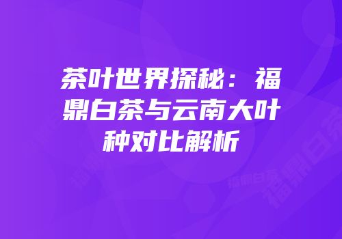 茶叶世界探秘：福鼎白茶与云南大叶种对比解析
