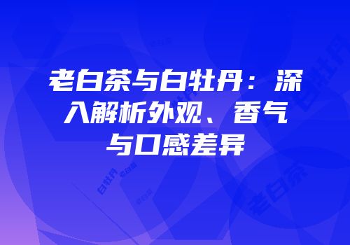 老白茶与白牡丹：深入解析外观、香气与口感差异