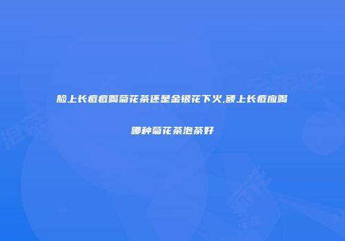 脸上长痘痘喝菊花茶还是金银花下火,额上长痘应喝哪种菊花茶泡茶好