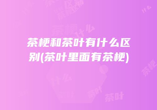 茶梗和茶叶有什么区别(茶叶里面有茶梗)