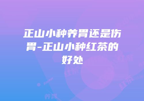 正山小种养胃还是伤胃-正山小种红茶的好处