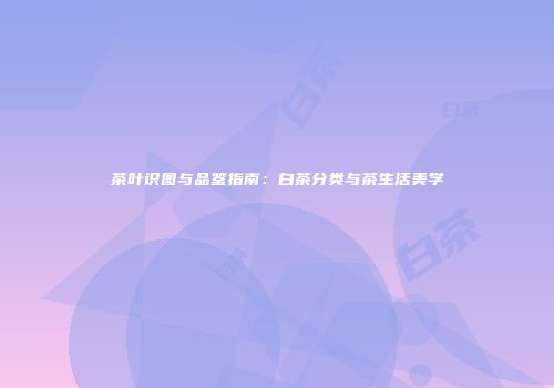 茶叶识图与品鉴指南：白茶分类与茶生活美学