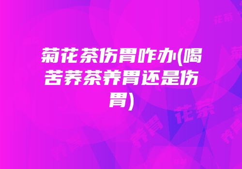 菊花茶伤胃咋办(喝苦荞茶养胃还是伤胃)