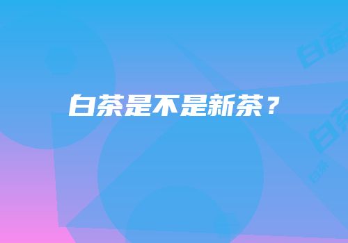 白茶是不是新茶？