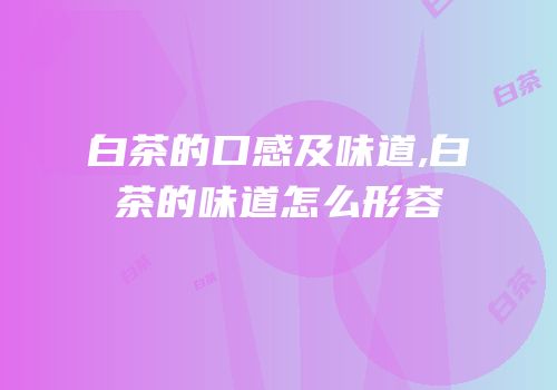 白茶的口感及味道,白茶的味道怎么形容