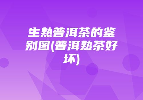 生熟普洱茶的鉴别图(普洱熟茶好坏)