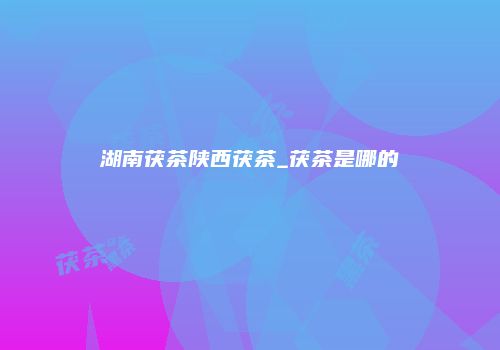 湖南茯茶陕西茯茶_茯茶是哪的