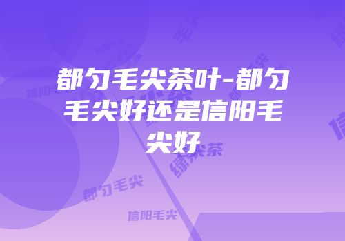 都匀毛尖茶叶-都匀毛尖好还是信阳毛尖好