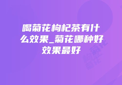 喝菊花枸杞茶有什么效果_菊花哪种好效果最好