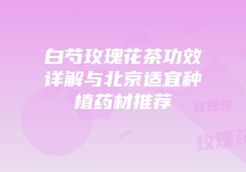 白芍玫瑰花茶功效详解与北京适宜种植药材推荐