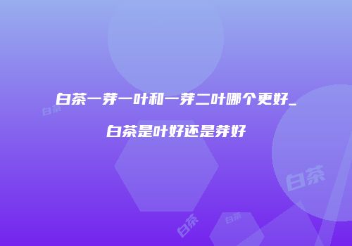 白茶一芽一叶和一芽二叶哪个更好_白茶是叶好还是芽好