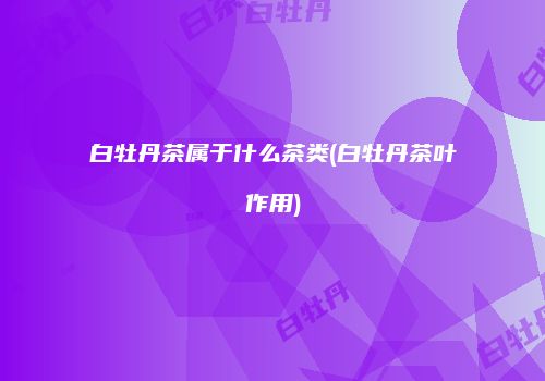 白牡丹茶属于什么茶类(白牡丹茶叶作用)