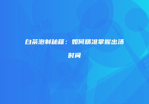 白茶泡制秘籍：如何精准掌握出汤时间