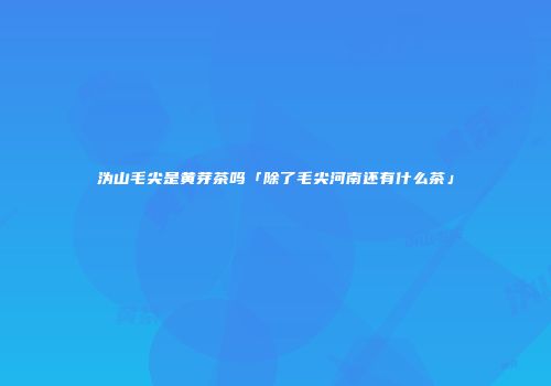 沩山毛尖是黄芽茶吗「除了毛尖河南还有什么茶」