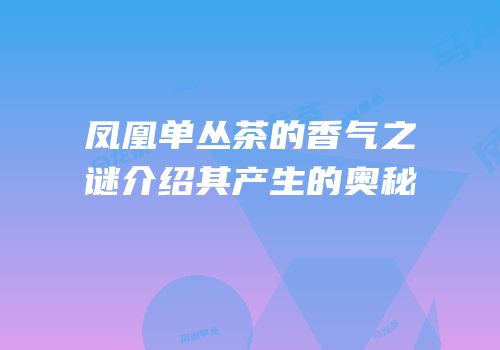 凤凰单丛茶的香气之谜介绍其产生的奥秘