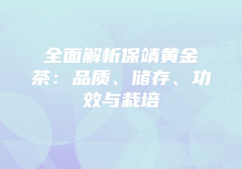 全面解析保靖黄金茶：品质、储存、功效与栽培