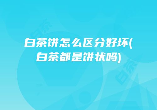 白茶饼怎么区分好坏(白茶都是饼状吗)