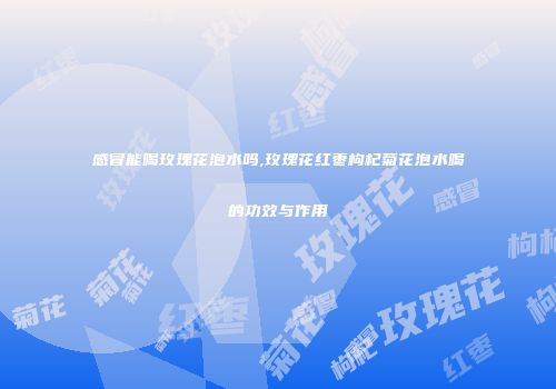 感冒能喝玫瑰花泡水吗,玫瑰花红枣枸杞菊花泡水喝的功效与作用