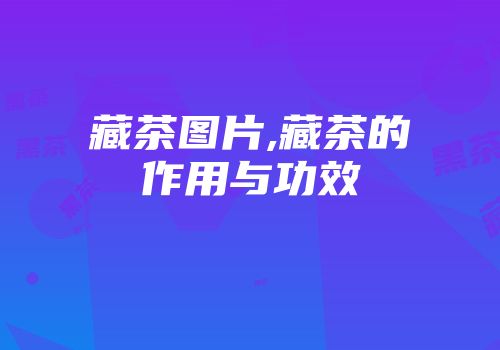 藏茶图片,藏茶的作用与功效