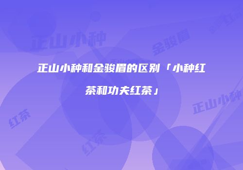 正山小种和金骏眉的区别「小种红茶和功夫红茶」