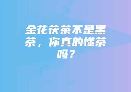 金花茯茶不是黑茶，你真的懂茶吗？
