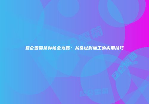 昆仑雪菊茶种植全攻略：从选址到加工的实用技巧