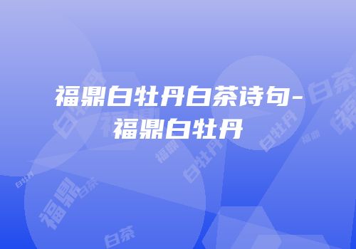 福鼎白牡丹白茶诗句-福鼎白牡丹