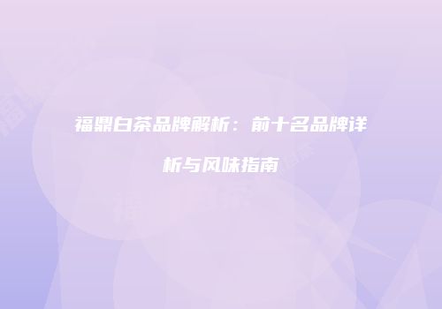 福鼎白茶品牌解析：前十名品牌详析与风味指南