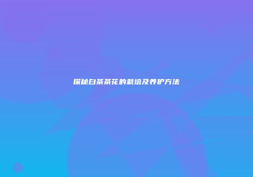 探秘白茶茶花的栽培及养护方法