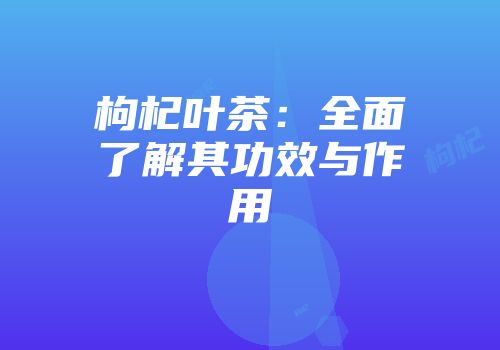 枸杞叶茶：全面了解其功效与作用
