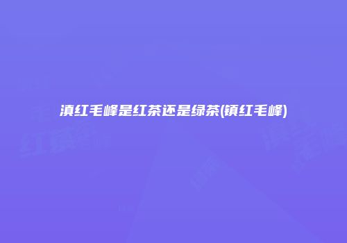 滇红毛峰是红茶还是绿茶(镇红毛峰)