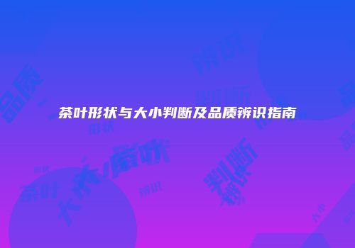 茶叶形状与大小判断及品质辨识指南