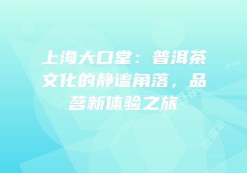 上海大口堂：普洱茶文化的静谧角落，品茗新体验之旅