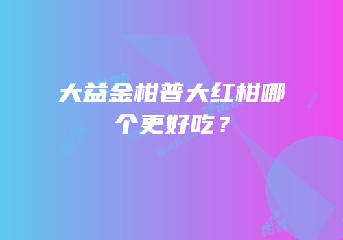 大益金柑普大红柑哪个更好吃？