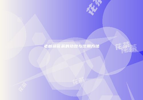 老树茶花茶的功效与饮用方法