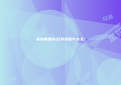 金骏眉图片(红茶袋图片大全)