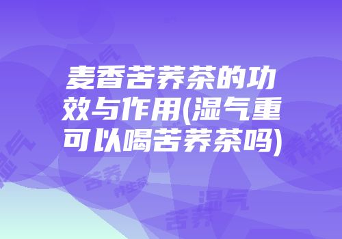 麦香苦荞茶的功效与作用(湿气重可以喝苦荞茶吗)