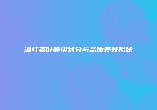 滇红茶叶等级划分与品质差异揭秘