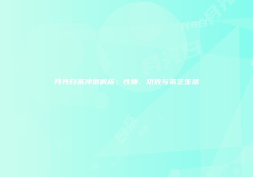 月光白茶冲泡解析：性质、功效与茶艺生活