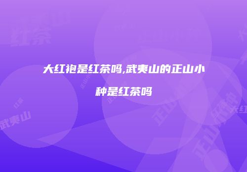大红袍是红茶吗,武夷山的正山小种是红茶吗