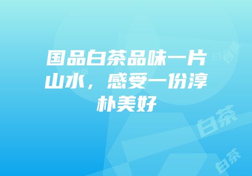 国品白茶品味一片山水，感受一份淳朴美好
