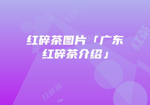 红碎茶图片「广东红碎茶介绍」