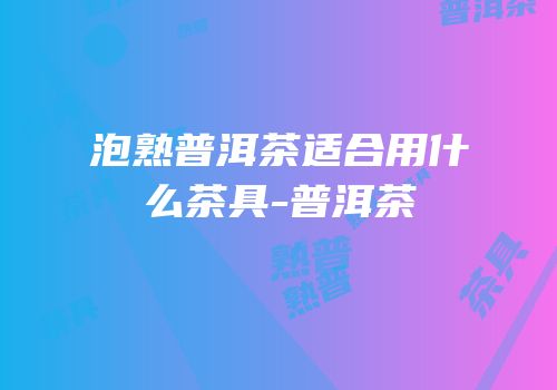 泡熟普洱茶适合用什么茶具-普洱茶